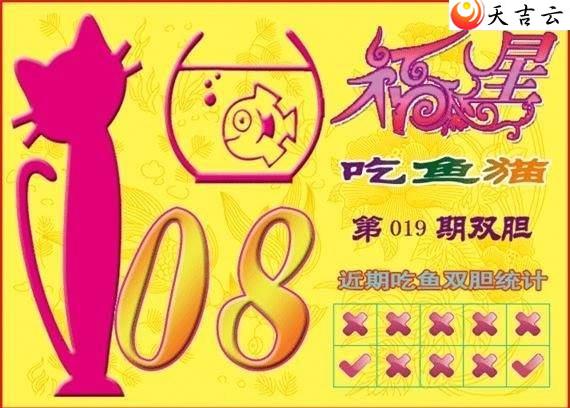 22019�ڸ��ǳ���èͼ��1