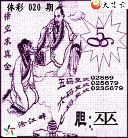 22020�ڲ�ǲ׽�ͼ��2