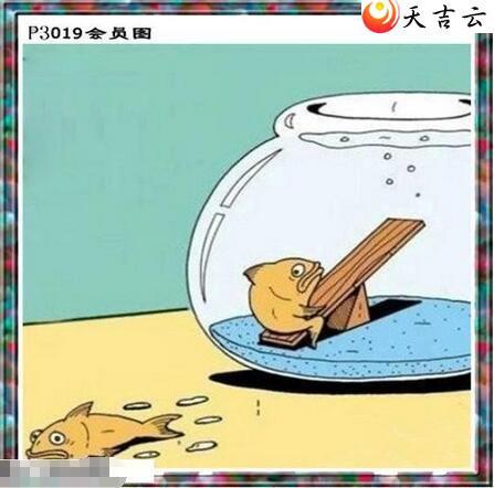 019����������ͼ��2