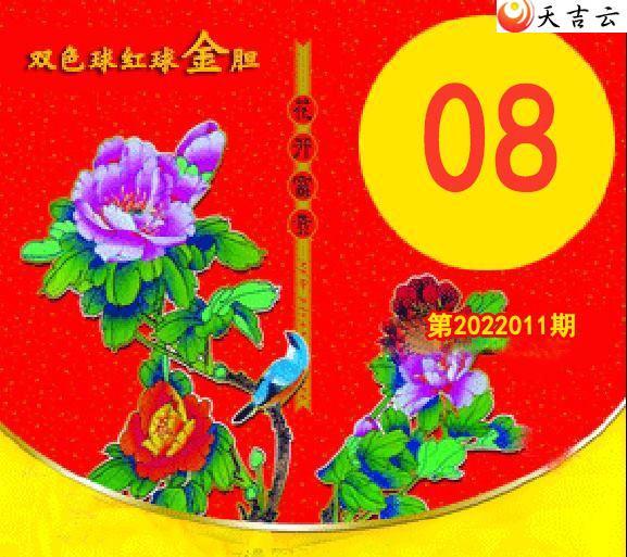 ˫ɫ��22011�ں����ͼ��1