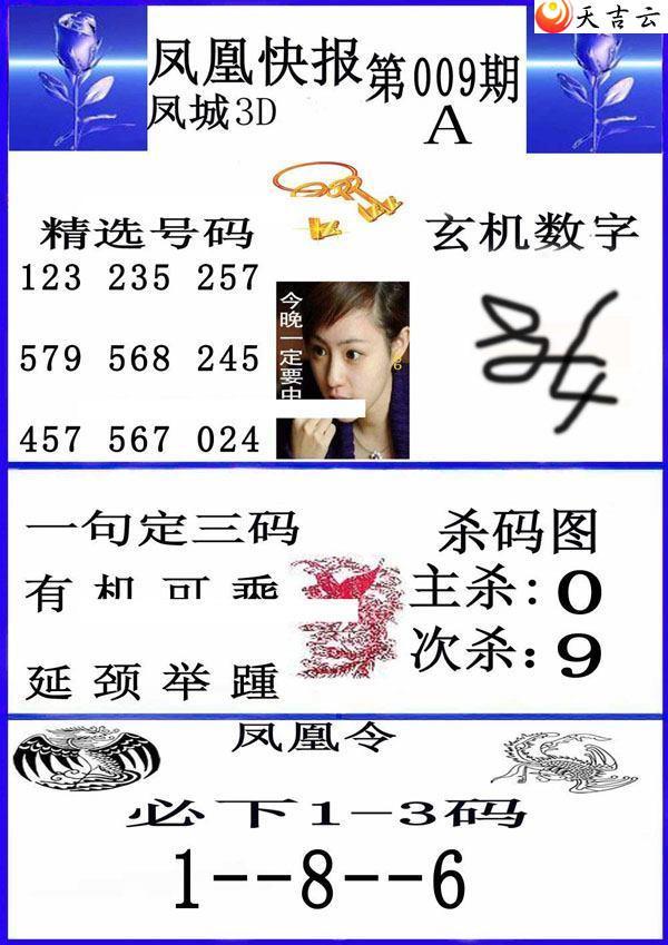 22009�ڷ�˿챨ͼ��2