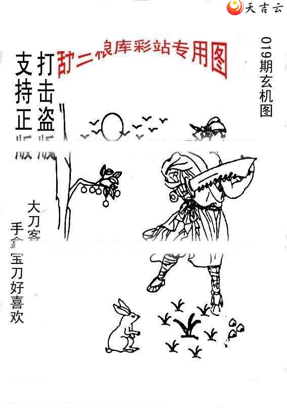 22019����峤����ͼ��3