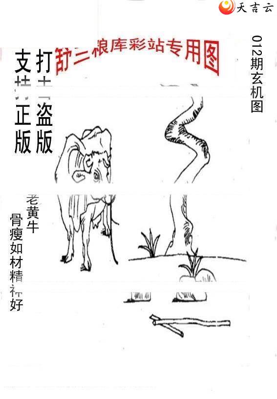 22012����峤����ͼ��2