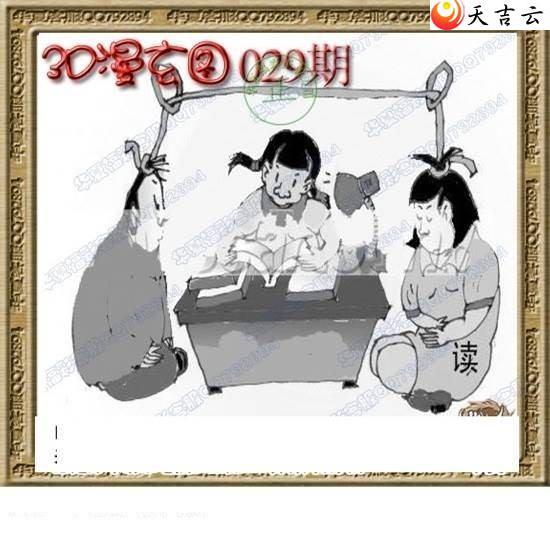 3d029��ר��˵��ͼ��2