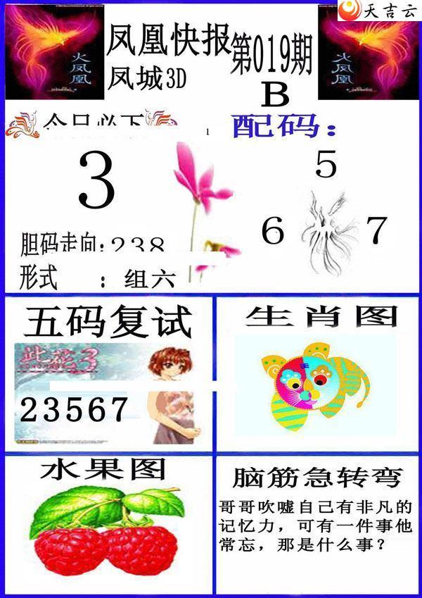 3d22019�ڷ�˿챨ͼ��2