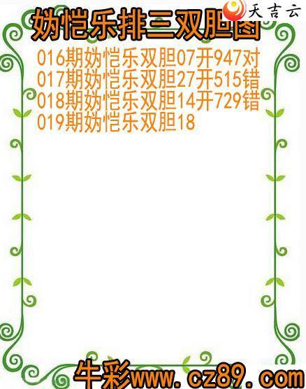 22019�������˫��ͼ��1