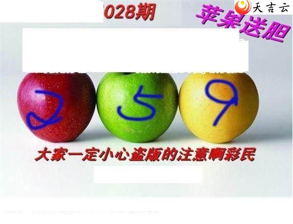 3d028��ר��˵��ͼ��3