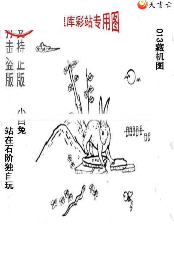 22013����峤����ͼ��1