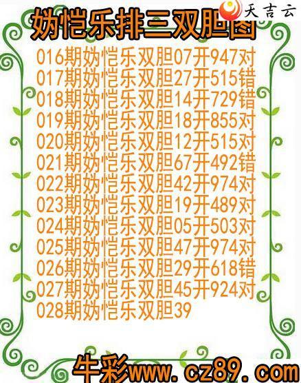 ����22028�������˫��ͼ��1