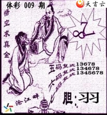 ����22009�ڲ�ǲ׽�ͼ��2