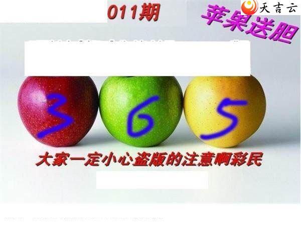 22011��ר��˵��ͼ��3