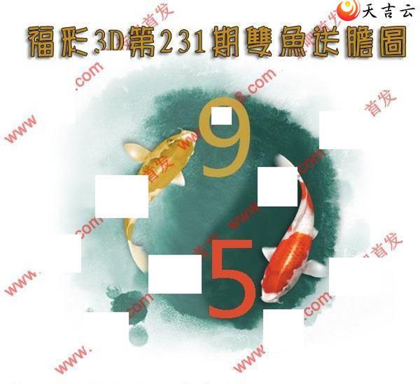 22231��˫���͵�ͼ��1