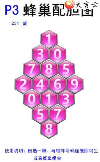 231ڷ䳲Թͼ2