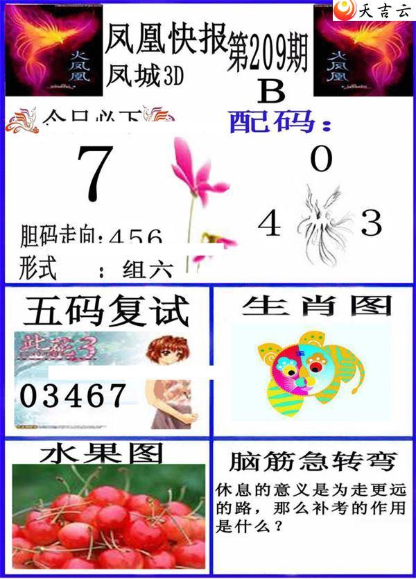 3d22209�ڷ�˿챨ͼ��3