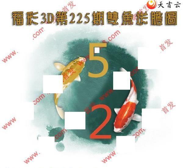 22225��˫���͵�ͼ��2