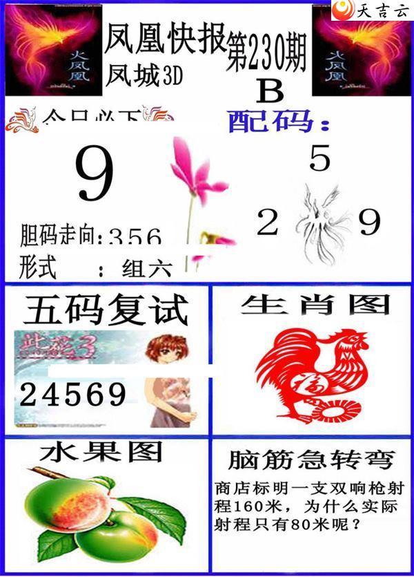 3d230�ڷ�˿챨ͼ��3