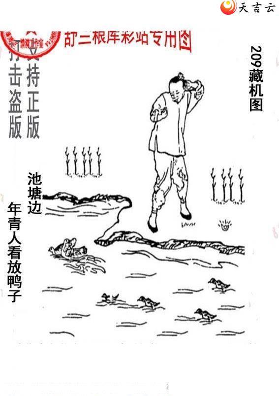 22209����峤����ͼ��2