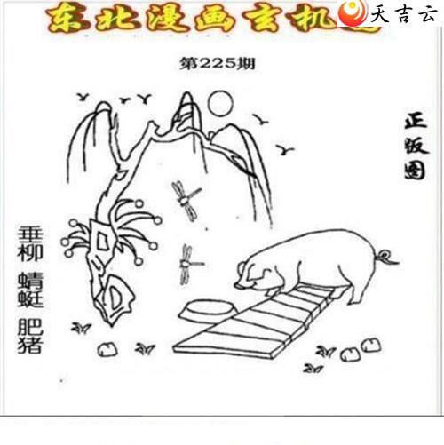 22225�ڶ�����������ͼ��2