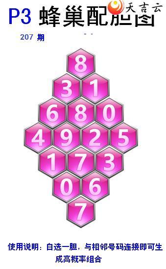 207ڷ䳲Թͼ2
