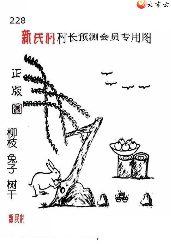 22228����峤����ͼ��3