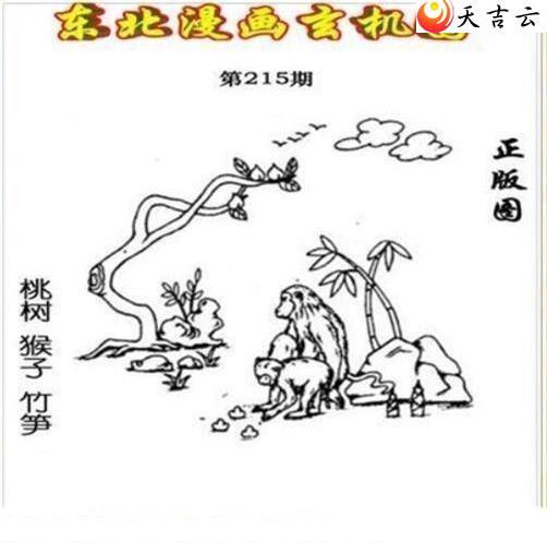 3d215�ڶ�����������ͼ��2