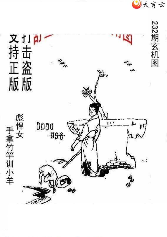 233����峤����ͼ��2