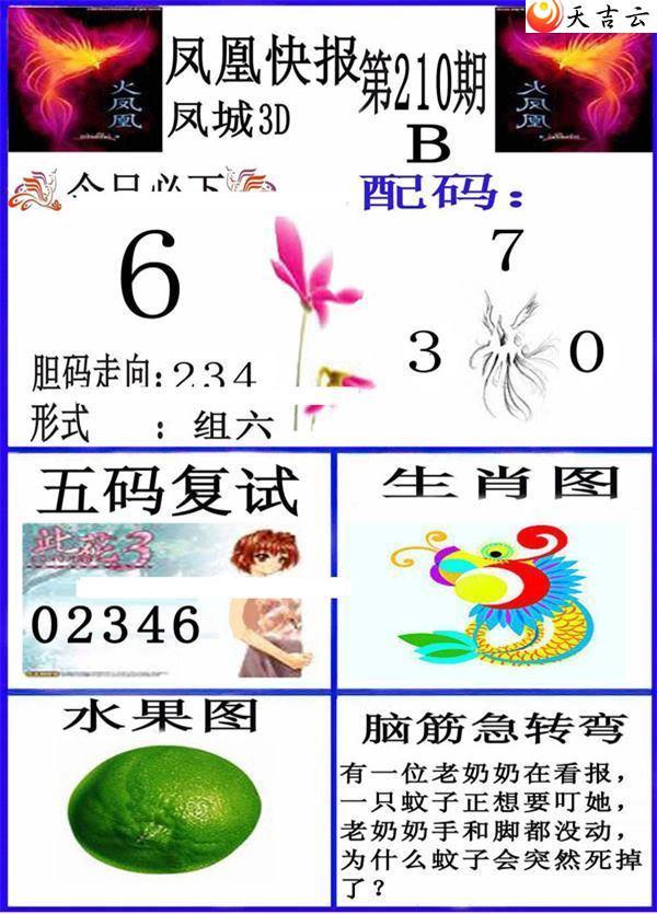 3d210�ڷ�˿챨ͼ��2