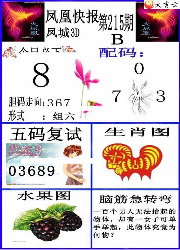 215�ڷ�˿챨ͼ��3