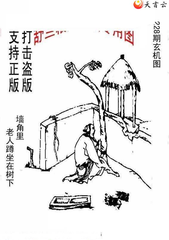 22228����峤����ͼ��2