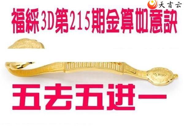 215�ڽ��������ͼ��2