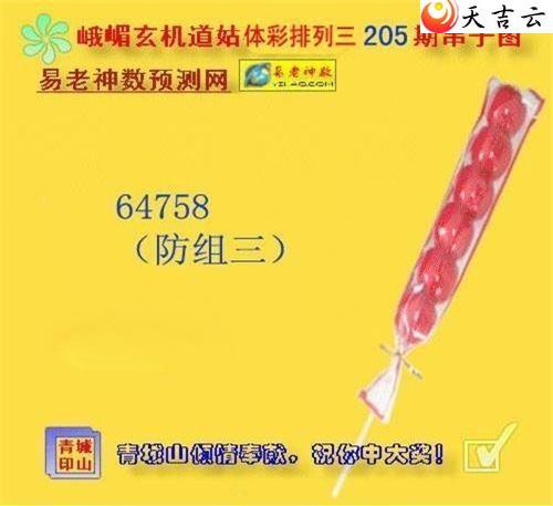 205ڶüͼ2