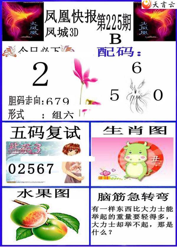 225�ڷ�˿챨ͼ��2