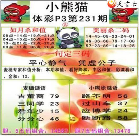 22231期小熊猫图谜3