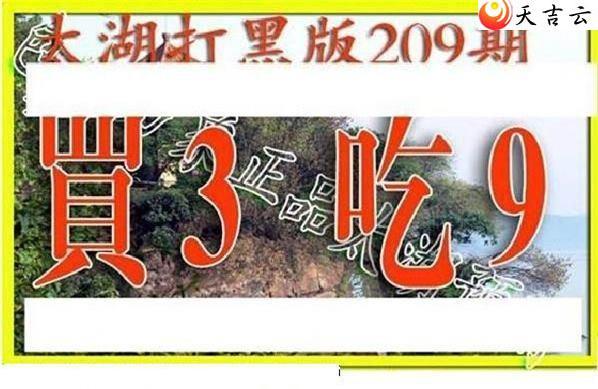 22209��̫����Ʒͼ��3