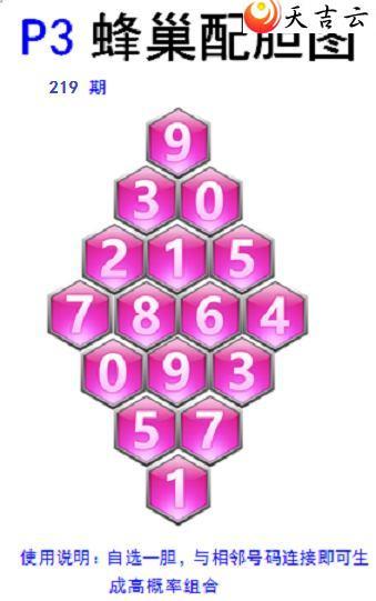 22219ڷ䳲Թͼ2