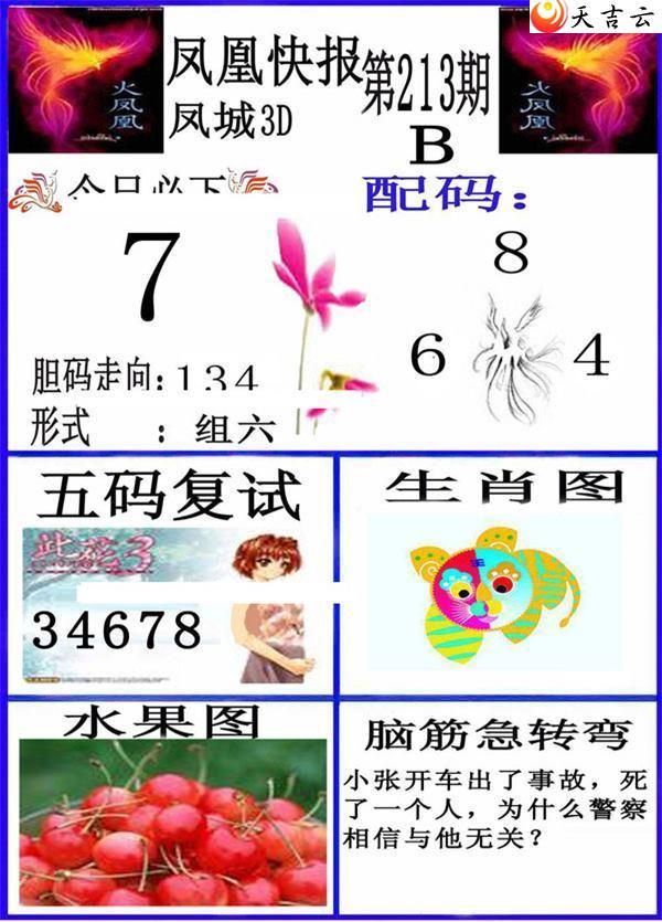 ����3d22213�ڷ�˿챨ͼ��2