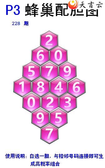 22228ڷ䳲Թͼ2