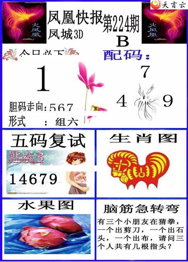 3d224�ڷ�˿챨ͼ��2