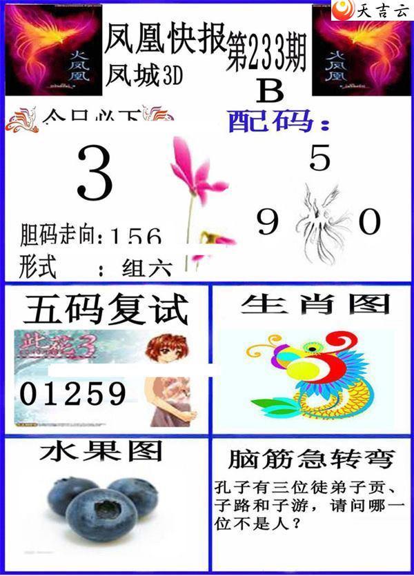 22233�ڷ�˿챨ͼ��2