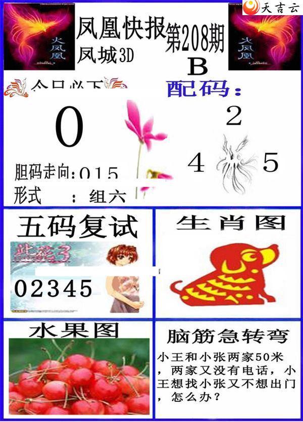 3d208�ڷ�˿챨ͼ��2