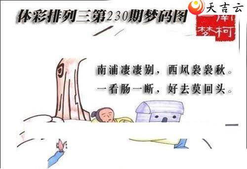 22230期梦码图谜2