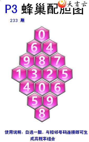 22233ڷ䳲Թͼ2