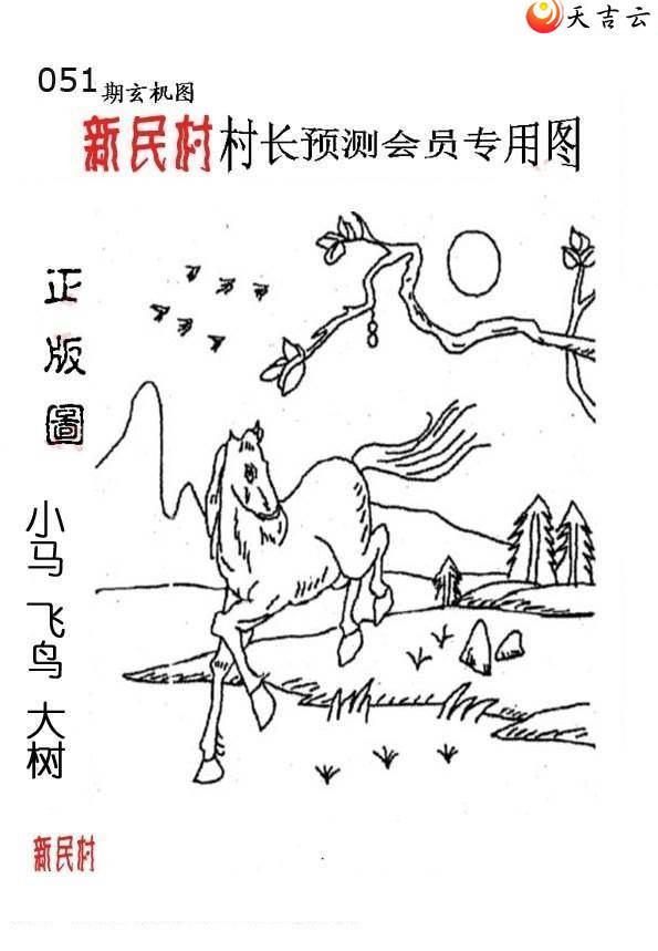 ����3d22051����峤����ͼ��2