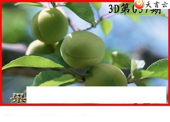 22057�ڰ���ͼ��3