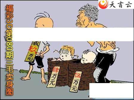 3d22080����ë����ͼ��1