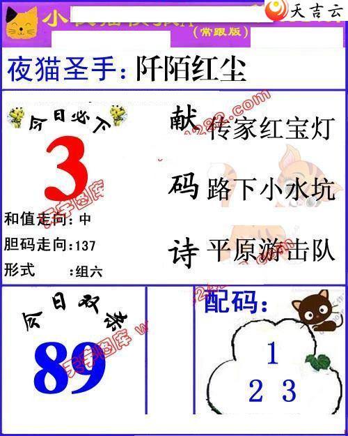 ����3d22051��Сҹè�챨ͼ��1