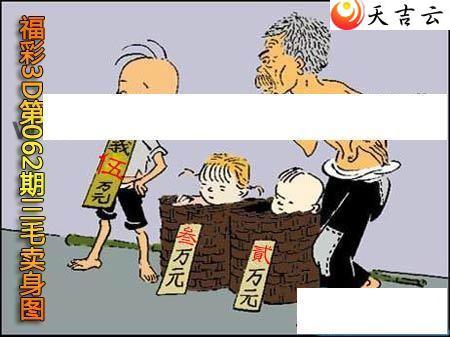 22062����ë����ͼ��1