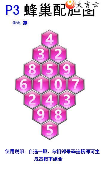 ������22055�ڷ䳲�Թ��������ͼ��2