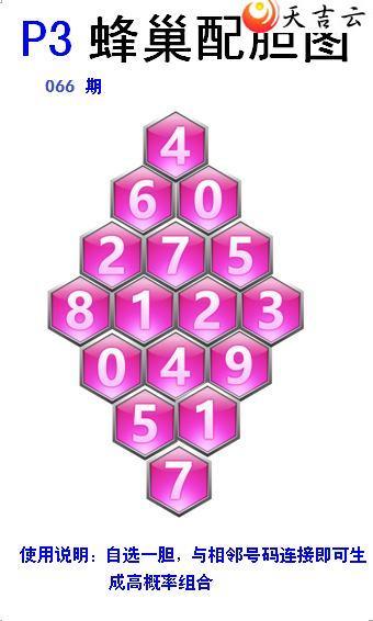 ����22066�ڷ䳲�Թ��������ͼ��1