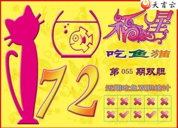 22055�ڸ��ǳ���èͼ��1